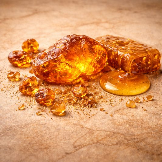 Amber Scent