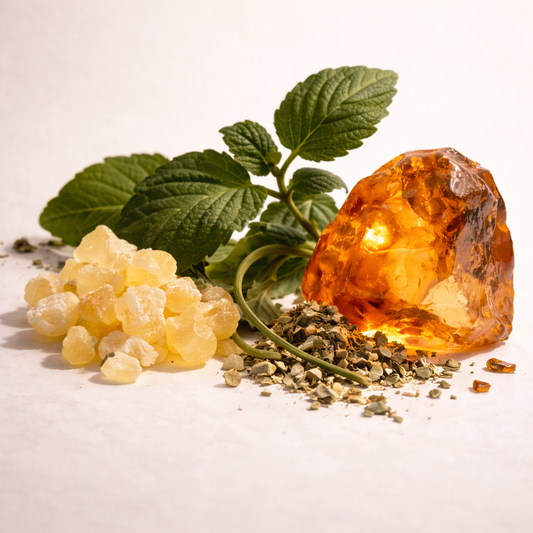 All Saints - The Religion Collection
